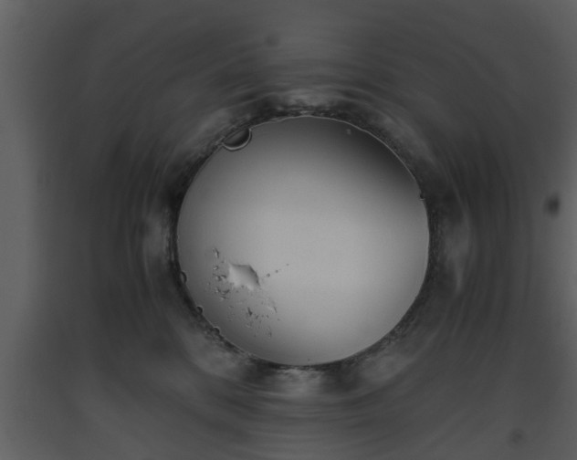X0000093440328200710191046