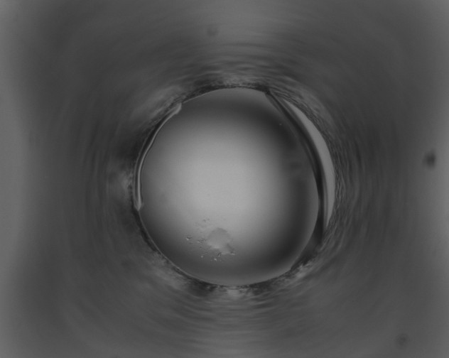 X0000093440329200710191046