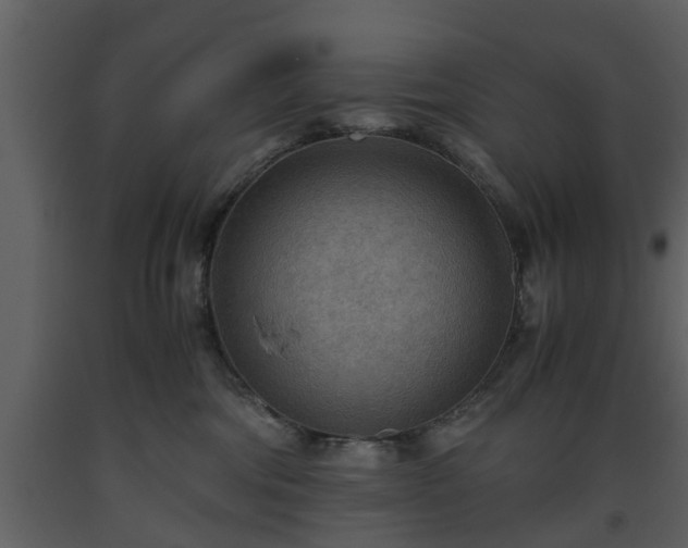 X0000093440330200710191046
