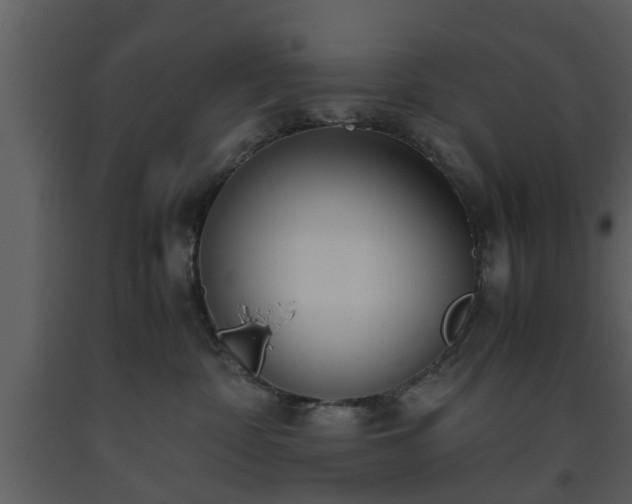 X0000093440332200710191046