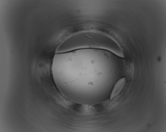 X0000093440333200710191046