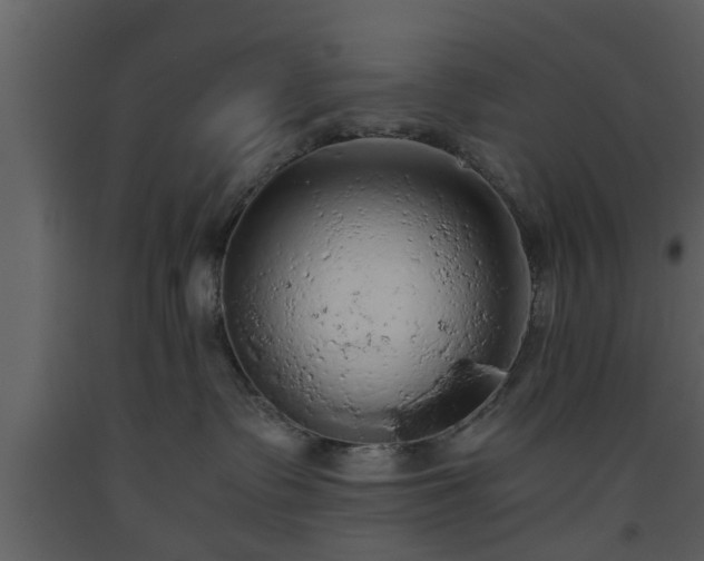 X0000093440335200710191046