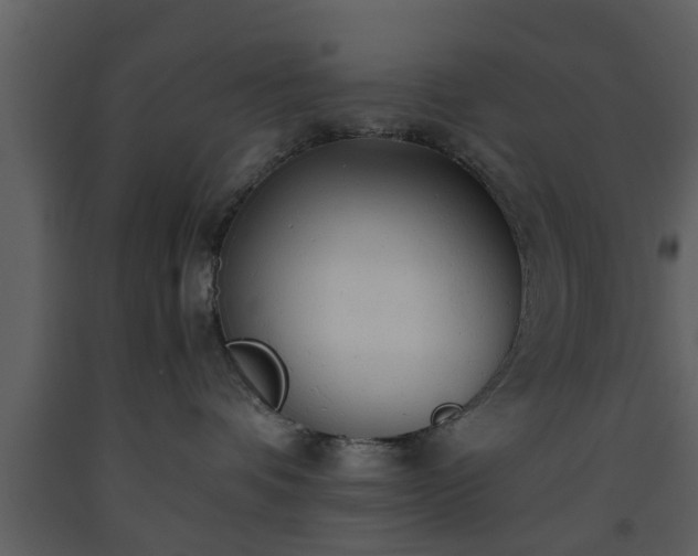 X0000093440336200710191046