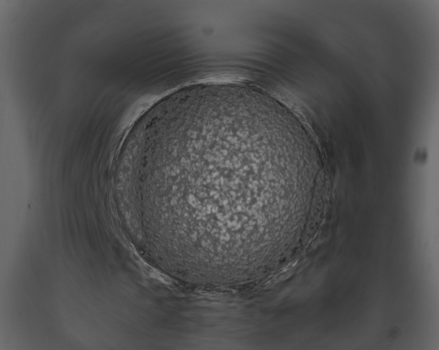 X0000093440337200710191046