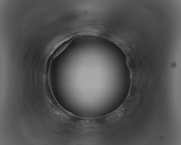 X0000093440338200710191046