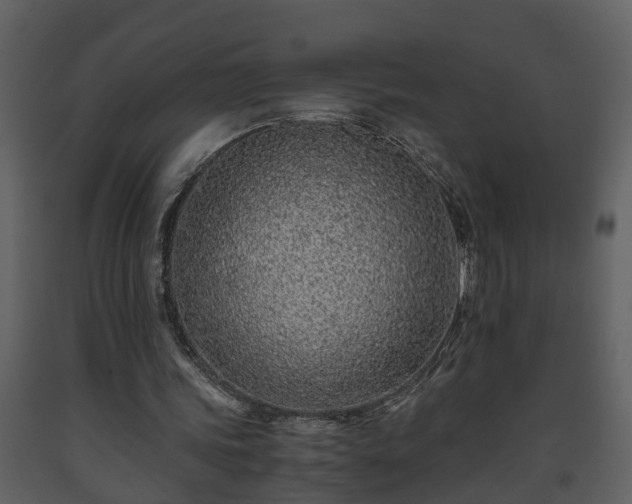 X0000093440339200710191046