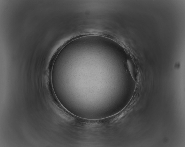 X0000093440342200710191046