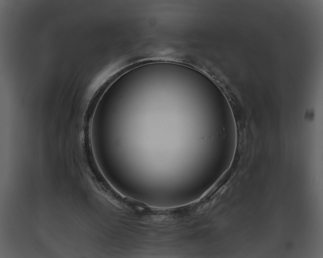 X0000093440344200710191046