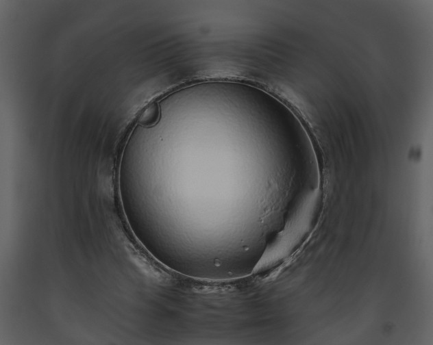 X0000093440345200710191046