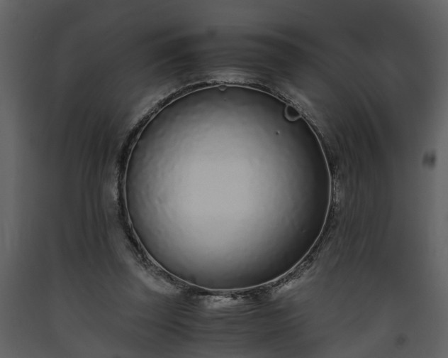 X0000093440347200710191046