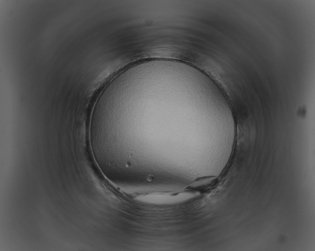 X0000093440349200710191046