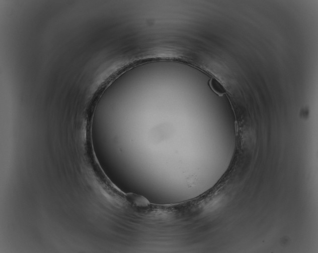 X0000093440350200710191046