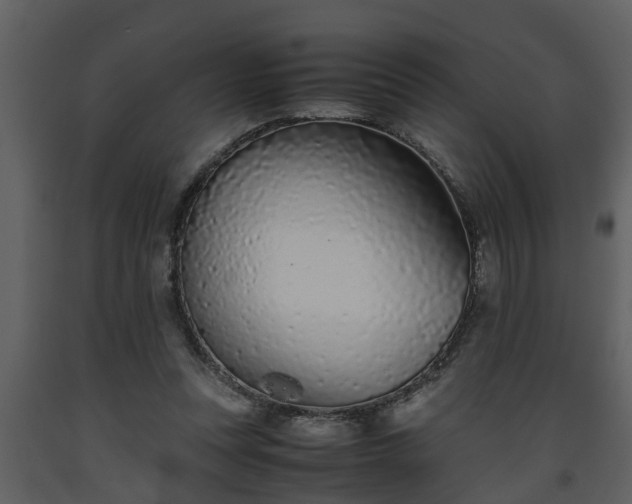 X0000093440351200710191046
