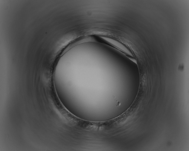 X0000093440352200710191046