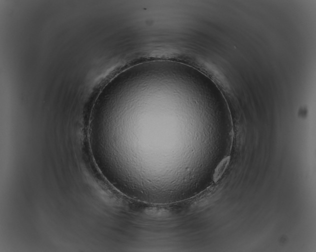 X0000093440354200710191046