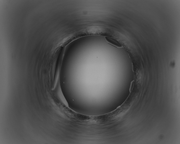 X0000093440356200710191046