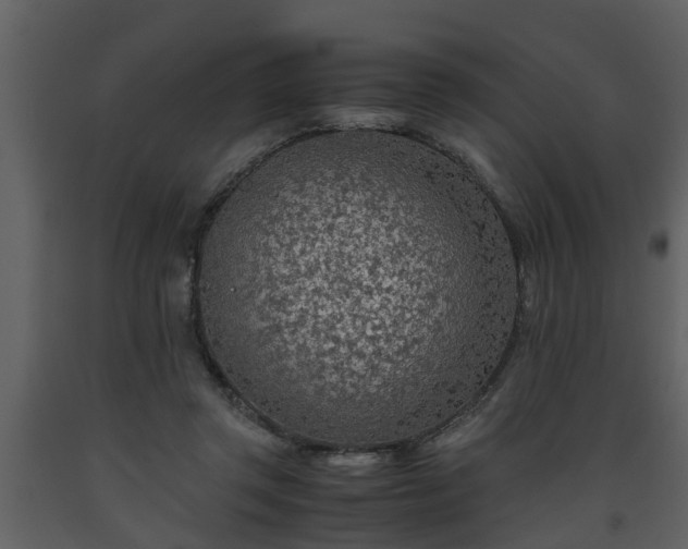 X0000093440357200710191046