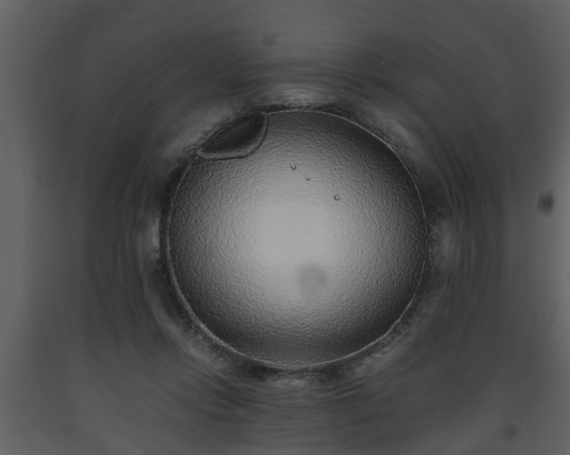 X0000093440358200710191046