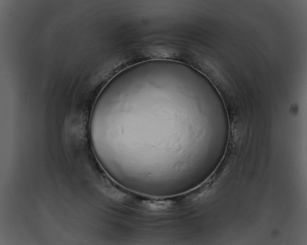 X0000093440359200710191046