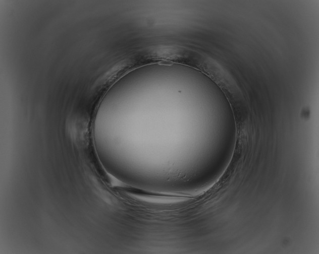 X0000093440360200710191046