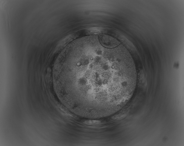 X0000093440361200710191046
