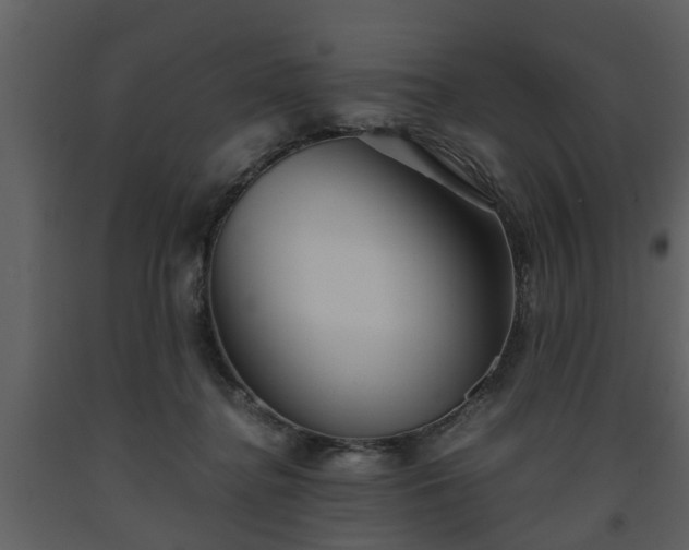 X0000093440364200710191046