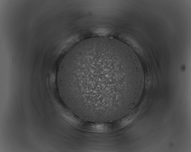 X0000093440365200710191046
