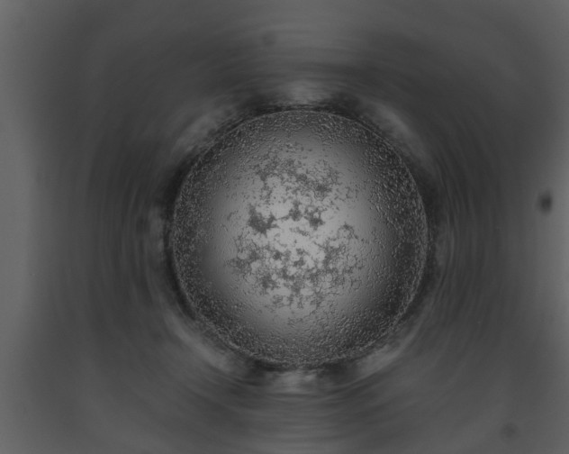 X0000093440366200710191046