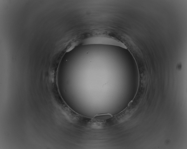 X0000093440368200710191046