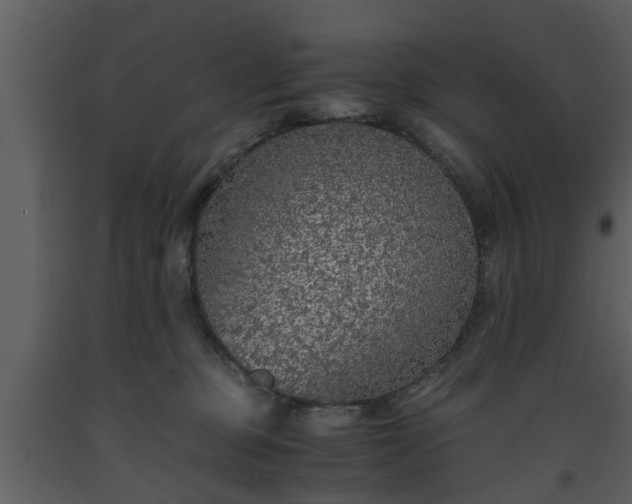 X0000093440373200710191046