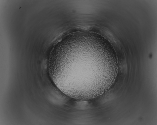 X0000093440374200710191046