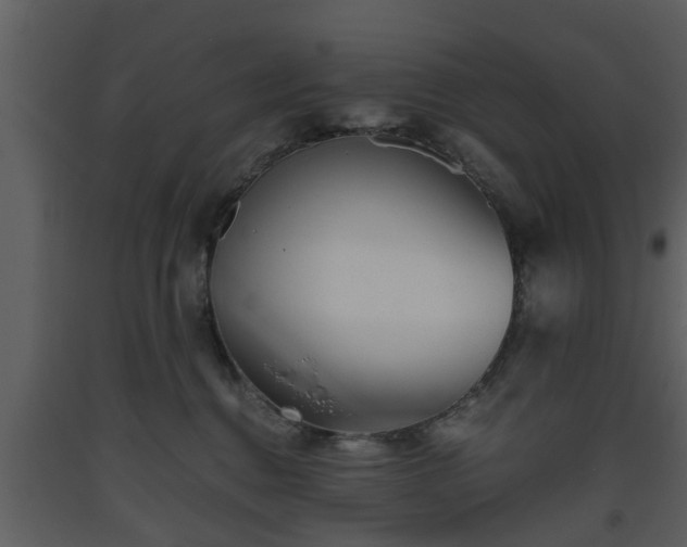 X0000093440376200710191046