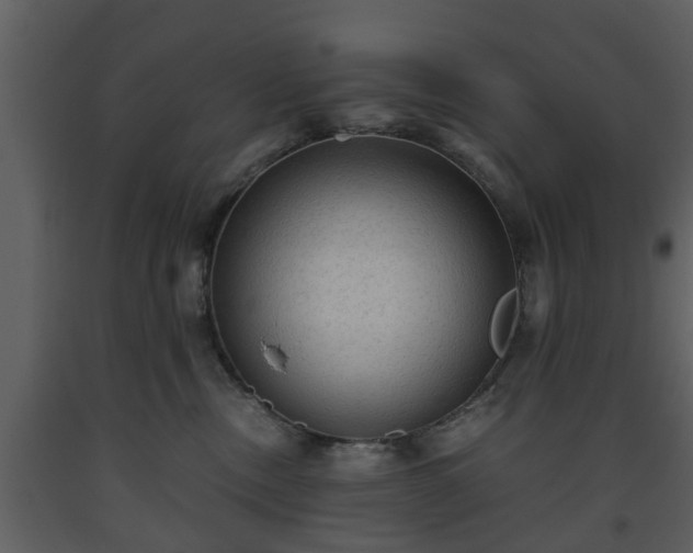 X0000093440378200710191046