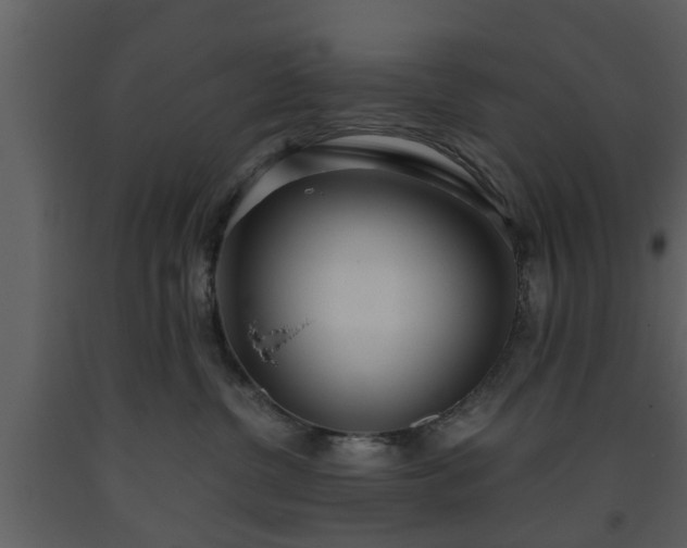 X0000093440380200710191046