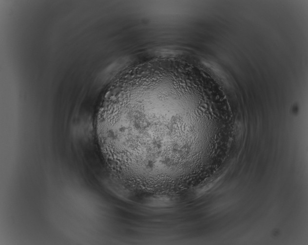 X0000093440381200710191046