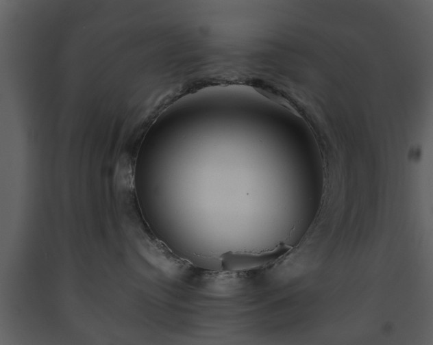 X0000093440384200710191046