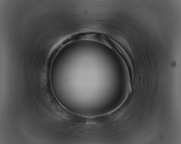 X0000093440388200710191045