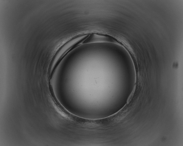 X0000093440389200710191045