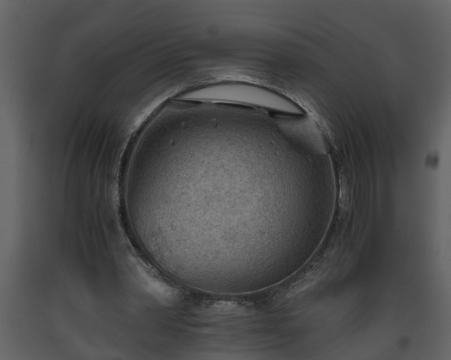 X0000093440390200710191045