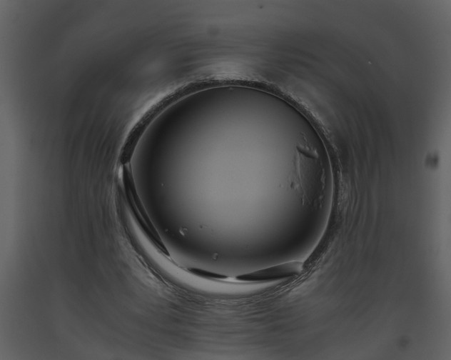 X0000093440391200710191045