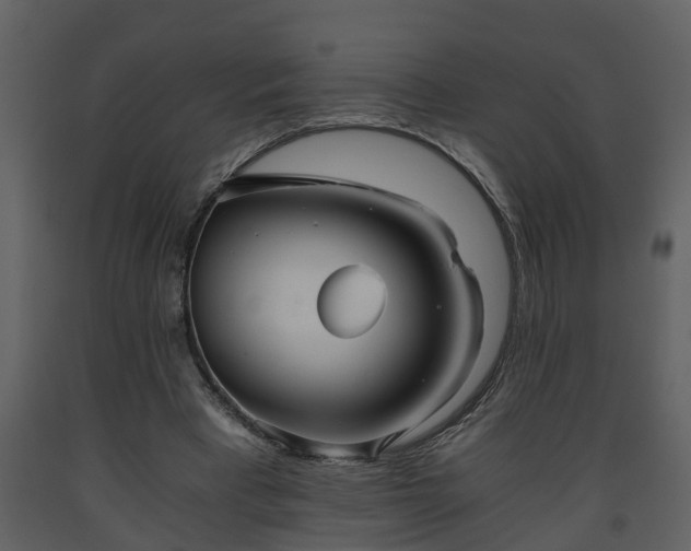 X0000093440393200710191045