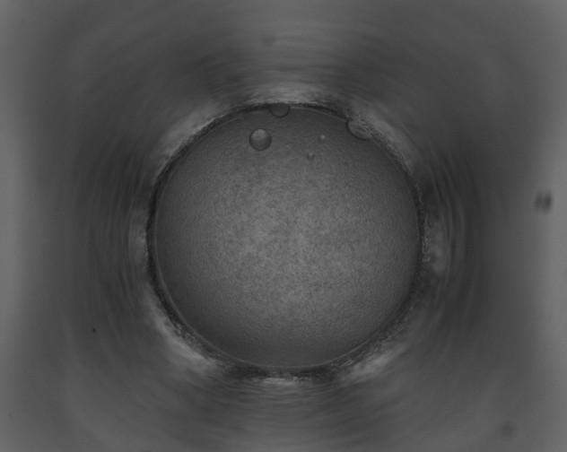 X0000093440394200710191045