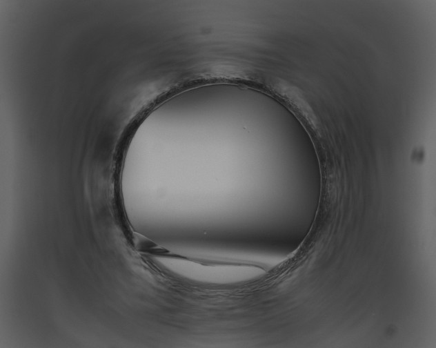 X0000093440395200710191045