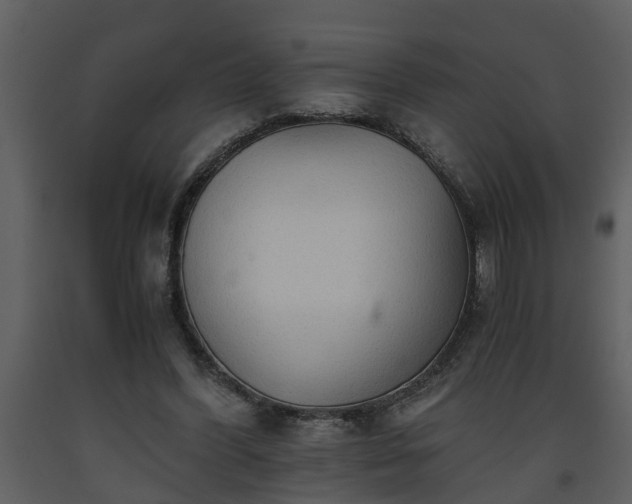 X0000093440396200710191045