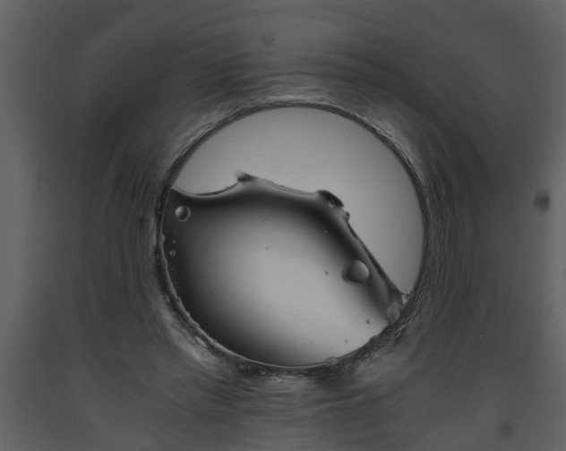 X0000093440397200710191045