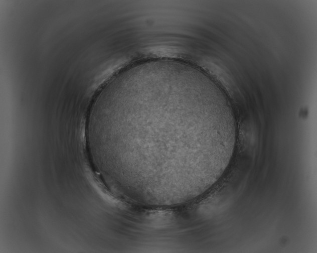 X0000093440398200710191045