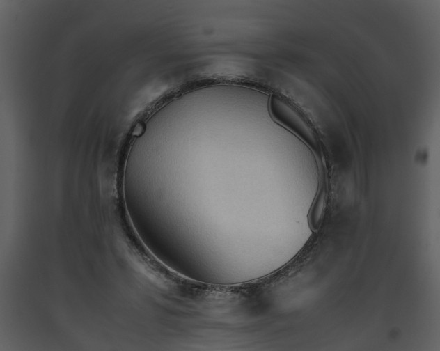 X0000093440399200710191045