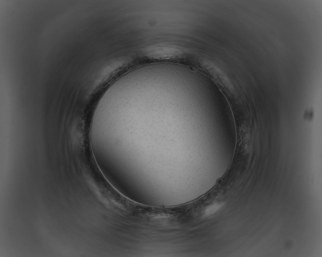 X0000093440400200710191045