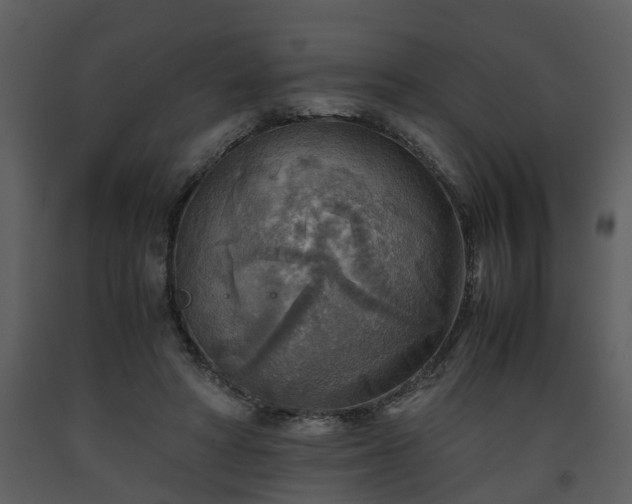 X0000093440402200710191045