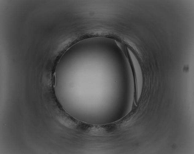 X0000093440403200710191045
